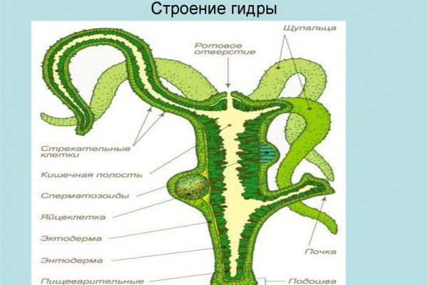 Кракен зеркало рабочее onion